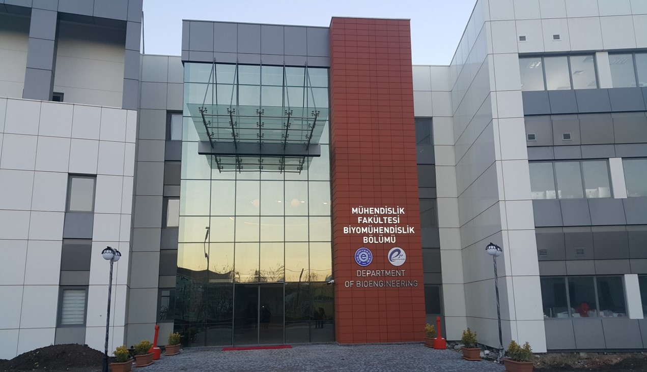 Department of Bioengineering